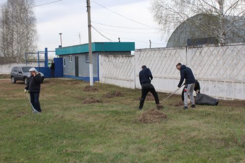 Теләп кушылдылар