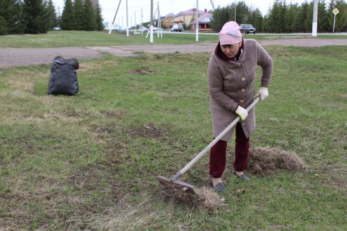 Теләп кушылдылар