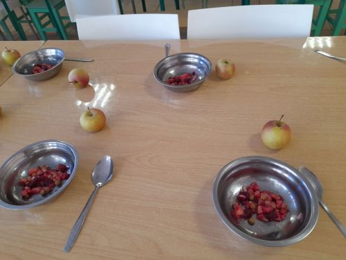 Эш сәфәре белән