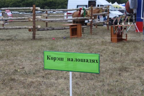 Тәвәккәлләр таш яра
