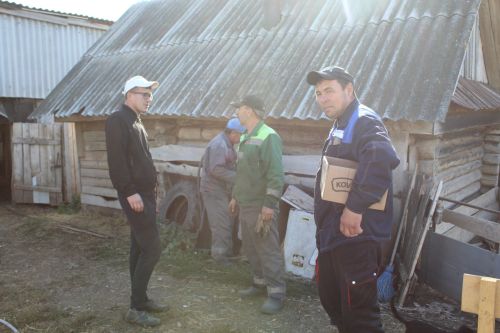 Сарыклар исәпкә алына