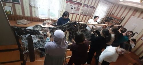 «Үзебезнекеләрне ташламыйбыз» акциясе дәвам итә