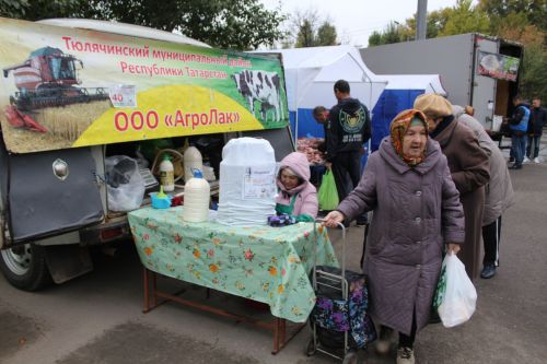 Авыл хуҗалыгы ярминкәләре башланды