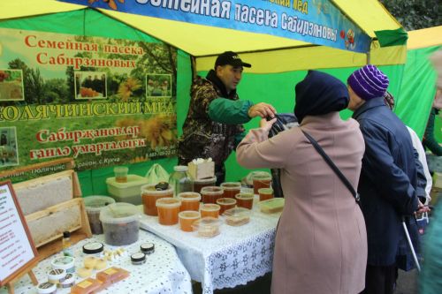 Авыл хуҗалыгы ярминкәләре башланды
