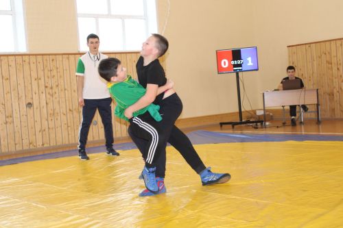 Шәткедә көрәш турниры узды