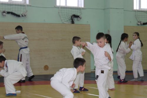 Имтихан тапшырып, яңа төстәге билбаулар алдылар