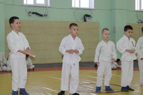 Имтихан тапшырып, яңа төстәге билбаулар алдылар