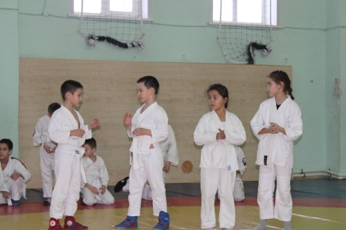Имтихан тапшырып, яңа төстәге билбаулар алдылар
