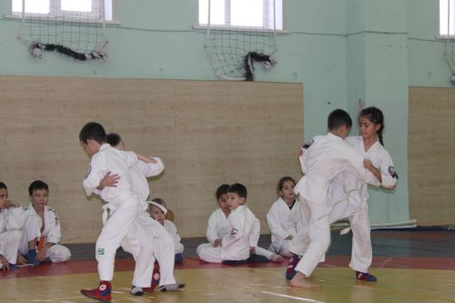 Имтихан тапшырып, яңа төстәге билбаулар алдылар