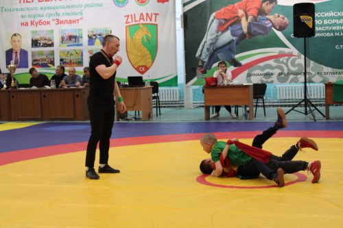 «Зилант» кубогына көрәш турниры үтте