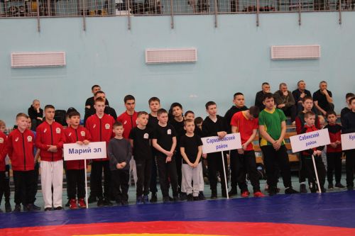 «Зилант» кубогына көрәш турниры үтте