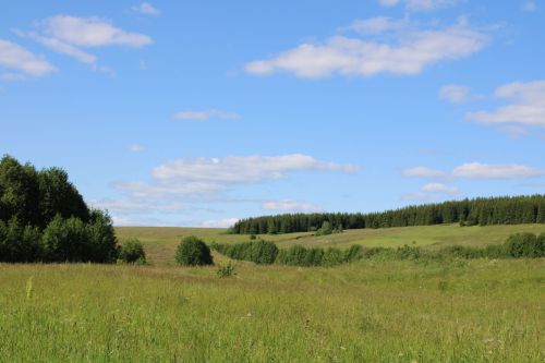 Талпан тешләгәннән прививканы кайда ясатып була