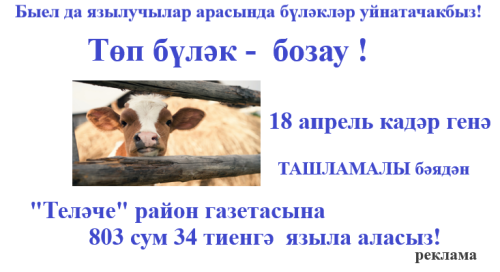 Быел да төп бүләк -  бозау булачак!