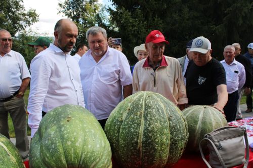 «Фатыйх Хөсни эзләре буйлап - Равил Фәйзуллин йөзүләре»