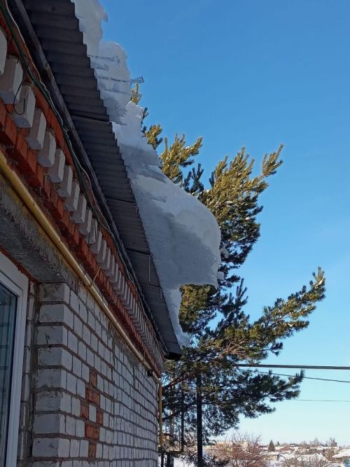 Боз сөңгеләреннән сакланыгыз!