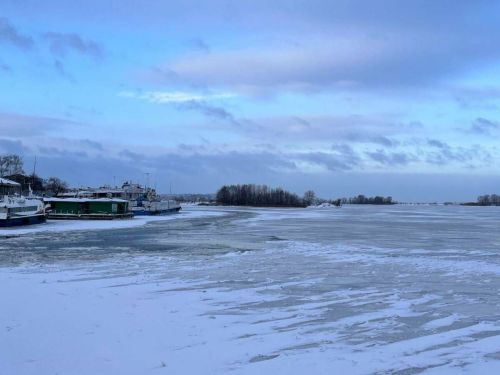 Бозга керү куркыныч