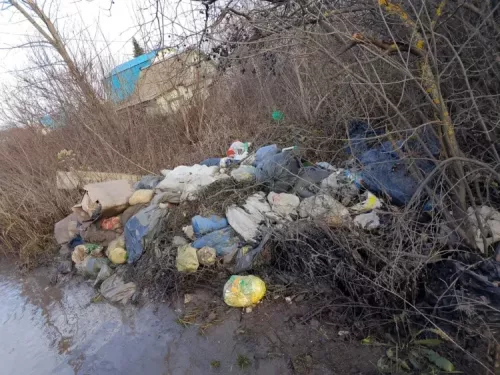 Түбән Камада санкцияләнмәгән чүплек таптылар