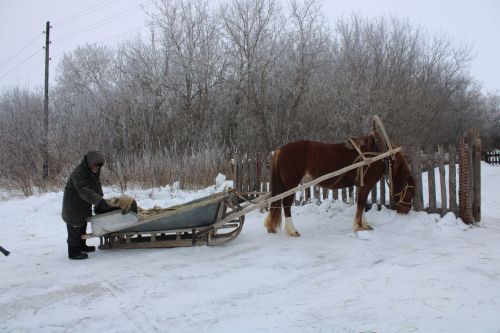 Төшереп тәмамладылар