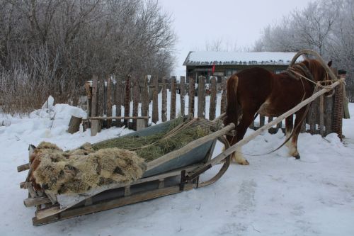 Төшереп тәмамладылар