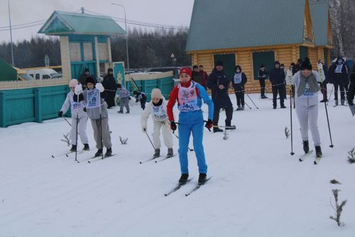 Кышкы саф һавада йөрү - үзе бер дәва