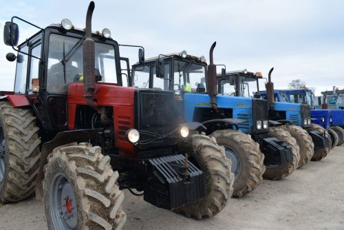 Кырлар, тургайлар дәшә…