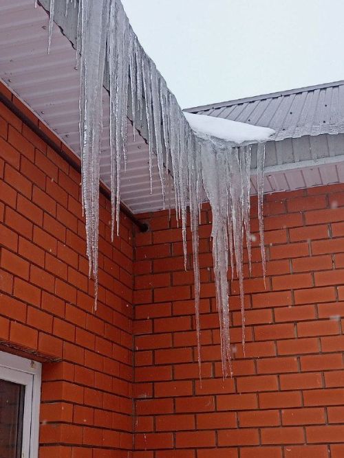 Боз сөңгеләреннән сакланыгыз!