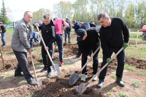 «Җиңү бакчасы» проекты кысаларында