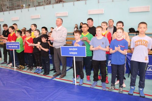 Камалиевлар гаиләсе ярыш үткәрә