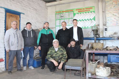 Үләннәр кояшка тартыла