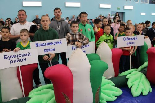 Теләчедә Салават Фатхетдинов призына көрәш буенча VIII ачык республика турниры башланды