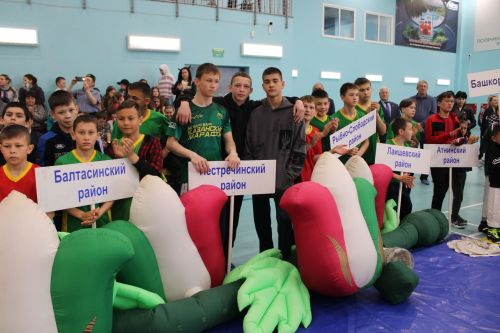 Теләчедә Салават Фатхетдинов призына көрәш буенча VIII ачык республика турниры башланды