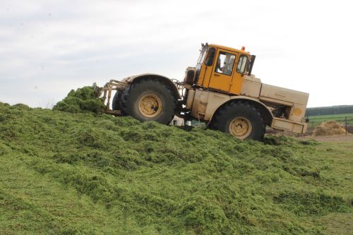 Фермер  хуҗалыкларда булдылар