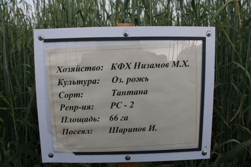 Фермер  хуҗалыкларда булдылар