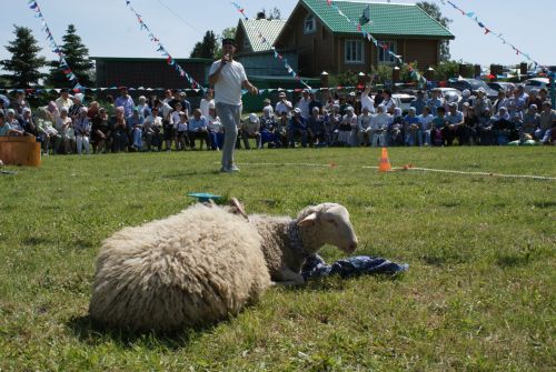Кече Кибәхуҗада сабан туе гөрли