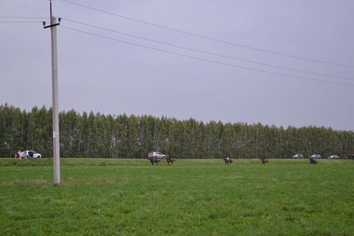«Түгәрәк уен + Блогерлар сабан туе» (фотолар)