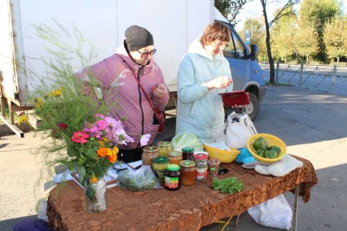 Шәһәргә  - авыл ярдәме