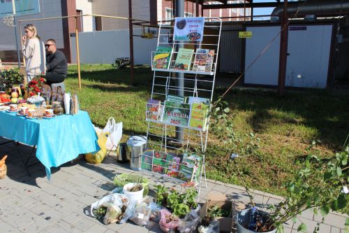 Сайлаулар оешкан төстә бара