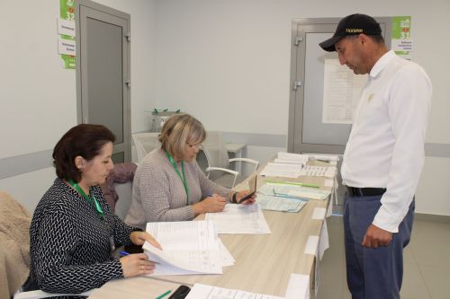 Сайлаулар оешкан төстә бара
