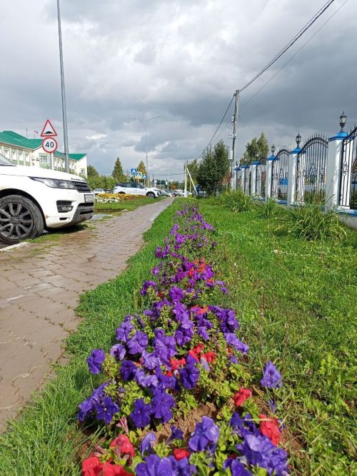 С 15 по 21 сентября будет проходит акция «Неделя безопасности дорожного движения»