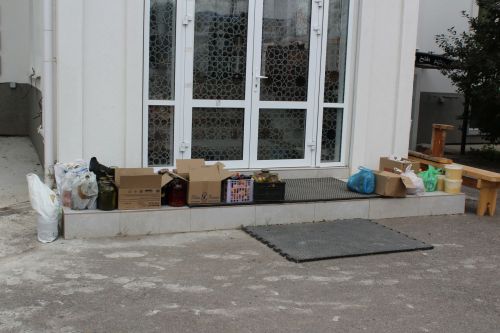 Актив катнаштылар