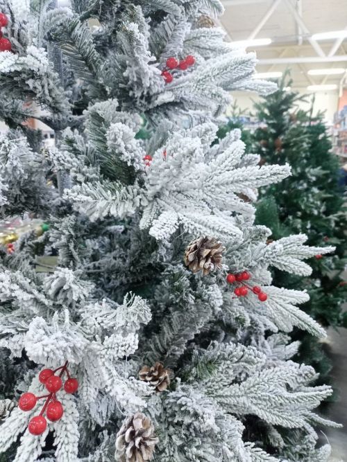 Балыклы авылында «Яңа елга яңа өметләр белән»  дип исемләнгән бәйрәм тамашасы узды