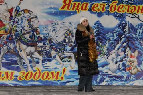 «Татарстанда кыш» проекты кысаларында узучы бәйгенең чираттагысы