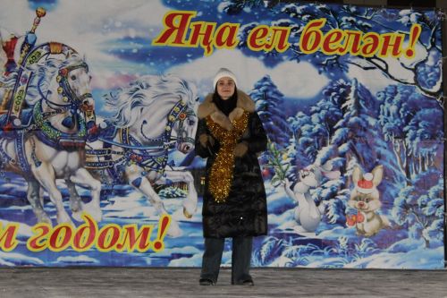 «Татарстанда кыш» проекты кысаларында узучы бәйгенең чираттагысы
