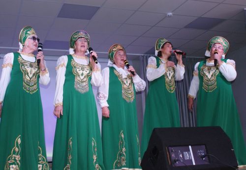 Теләчедә, Өлкәннәр көне уңаеннан,  бәйрәм чарасы узды