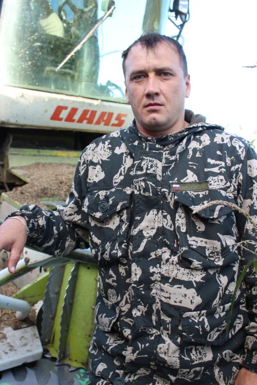 Кукуруз уралар, көнбагыш җыялар