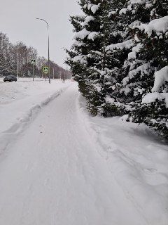 Прокуратура  хезмәткәргә премиясен кире кайтарырга ярдәм иткән