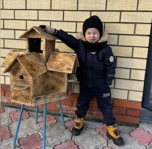 Азамат сыерчык оясы конкурсында катнаша