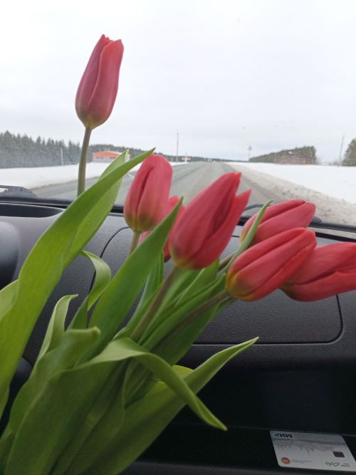 8 март көнне һава торышы нинди булачак