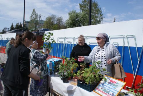 Теләчедә «Изгелек чәчкәсе» акциясе бара