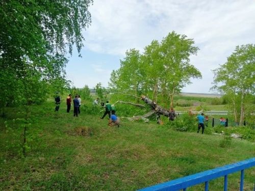Өйгә кайтам урау юллар аша...